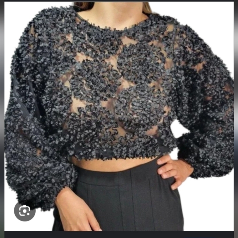 Zara Sheer Black Mesh With 3D Applique Petals Boho Casual Crop Long Sleeve Top - Picture 5 of 7